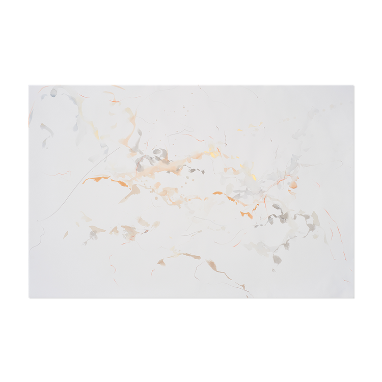 Satsuki Shibuya – IYA GALLERY
