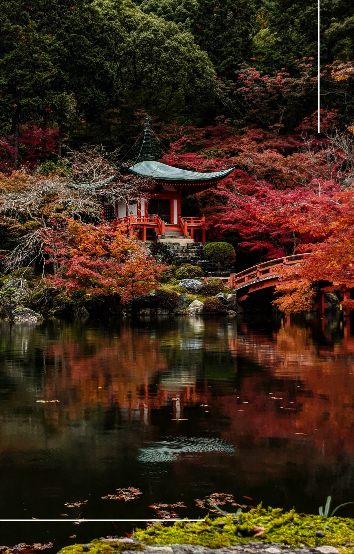 'Moments in Japan' Travel Guide