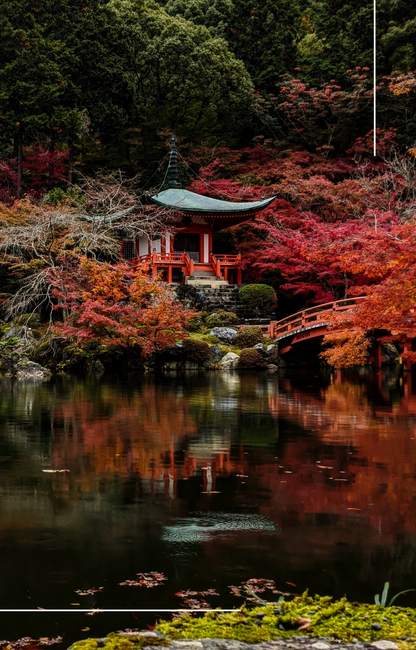 'Moments in Japan' Travel Guide