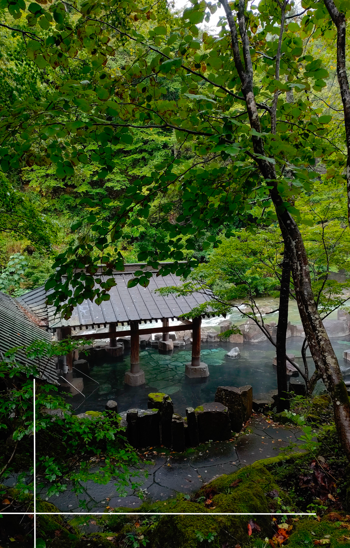 'Moments in Japan' Travel Guide